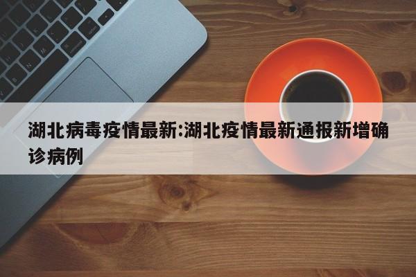 湖北病毒疫情最新:湖北疫情最新通报新增确诊病例